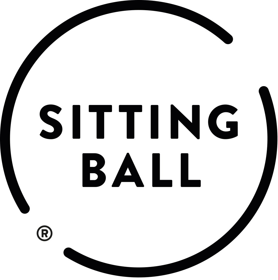 Felt Sitzball mit Filzimitat, Gymnastikball mit Stoffbezug, Fitnessball mit Filzhülle, Yogaball, ca. 65 ⌀, bei 30° waschbar, lachs