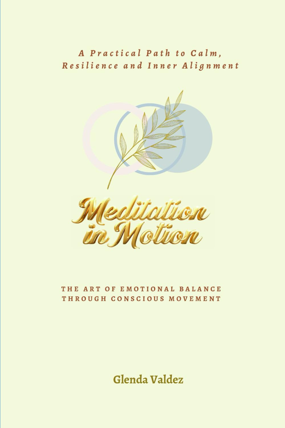 Meditation in Motion: A Practical Path to Calm, Resilience and Inner Alignment