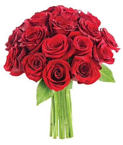 KaBloom PRIME NEXT DAY DELIVERY - Mother’s Day Collection - The Romantic Classic Bouquet of 18 Fresh Red Roses .Gift for Birthday, Get Well, Easter, Valentine, Mother’s Day Fresh Flowers