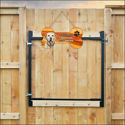 Image of CVANU Laser Cut MDF Wooden Dog Plaque Bone Design A Spoiled LABRA Dog Lives Here Animal Love Sign Board, Name Plate For Dog House Golden, Size(10x5) inch