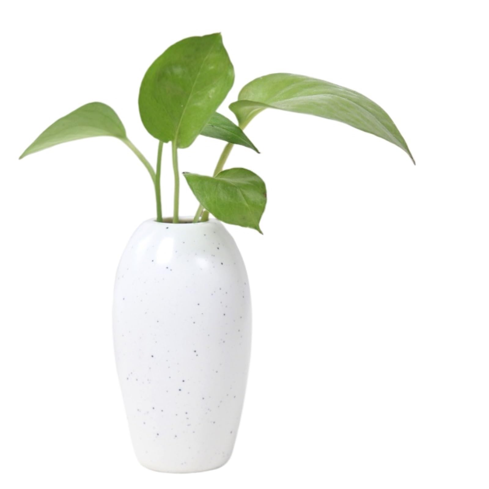 Flower Holder Nordic Ceramic Flower Vase For Living Room Tabletop For Centerpiece