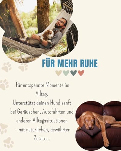 Beruhigungssnack für Hunde – Gegen Stress & für Gelassenheit bei Autofahrten, Tierärzten & im Alltag – mit L-Tryptophan, Baldrian, Johanniskraut & Lammprotein – Getreidefrei & Natürlich (180 g)