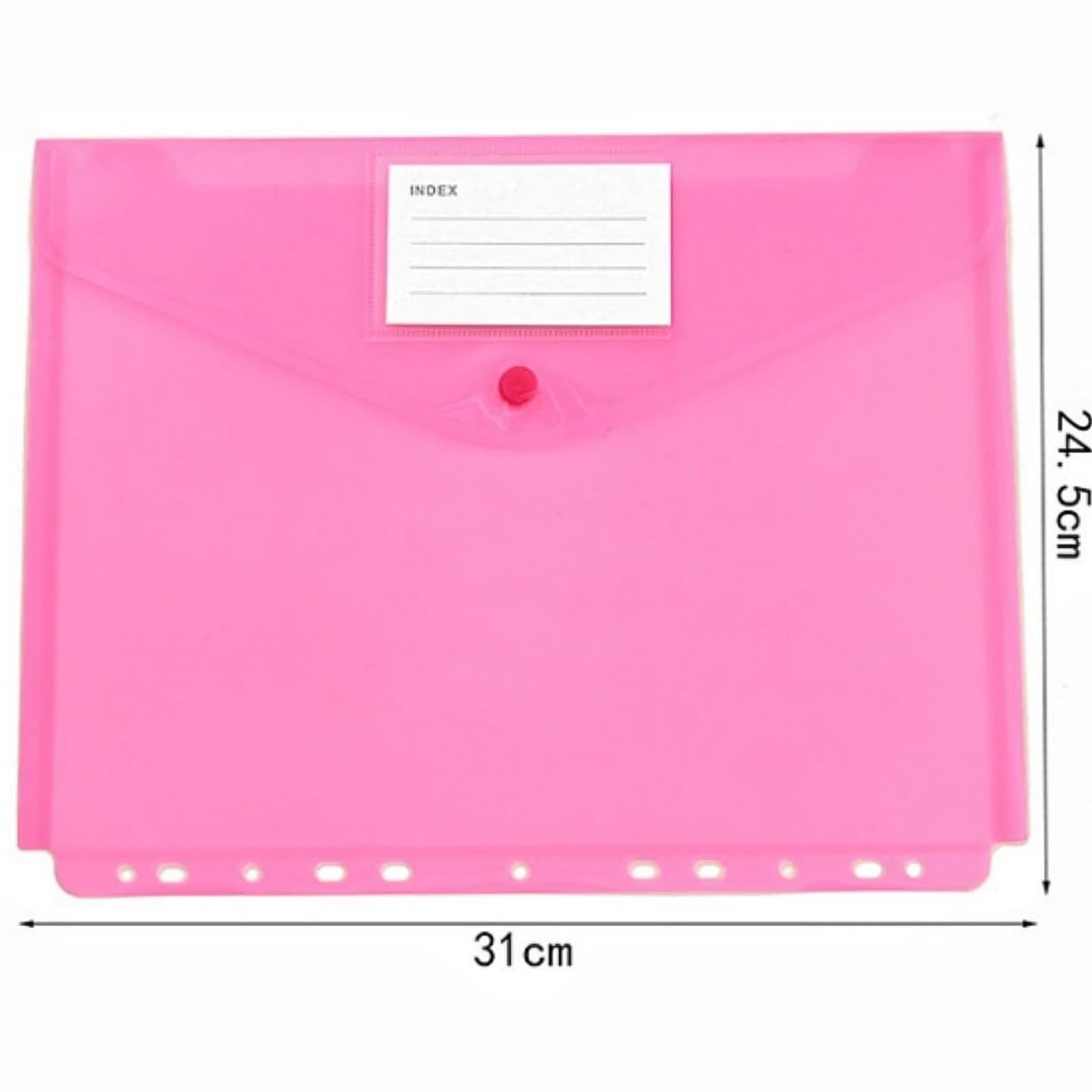 cartelle in plastica Raccoglitore tascabile - 12 buste Cartelle raccoglitore 11 fori for anelli 2/3/4, Cartelle raccoglitore con bottone automatico ed etichetta, formato lettera cartelle