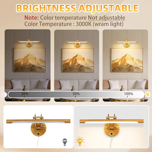 Image of 40cm Bathroom Vanity Light 15.7 inch Picture Light,Plug in,Led,8W Wall Lights for Paintings,3000K,CRI90+,Touch Dimming,Rotatable Poster Lights for Display,Cabinet,Art Work,Gallery(Brass-Color)