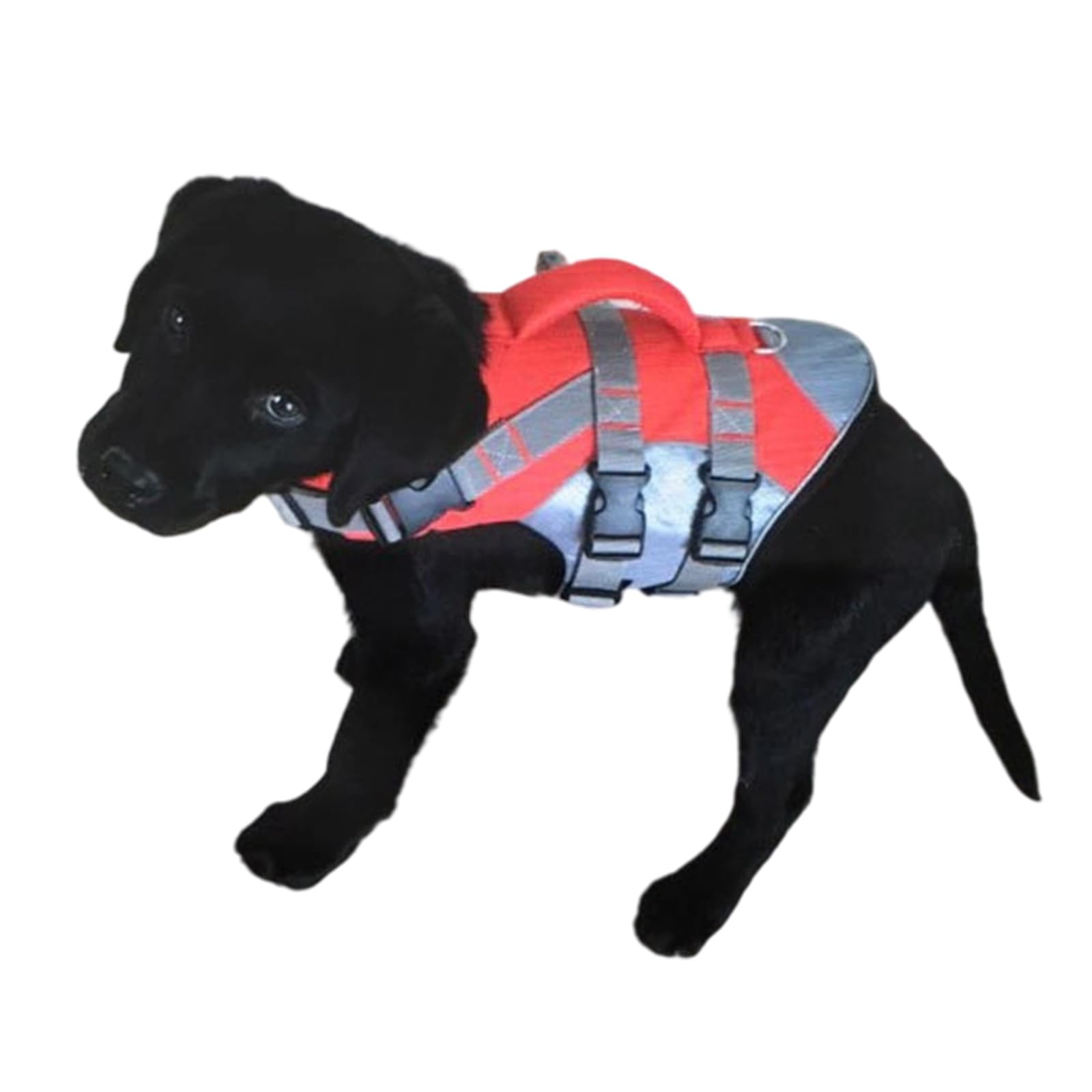Maillot de bain de sauvetage pour chien, gilet de sauvetage pour chien, ceinture réglable, aide à la natation, maillot de bain de sécurité, équipement de sécurité aquatique