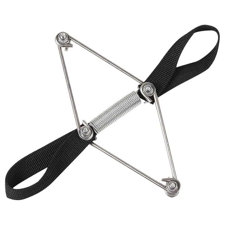 Motion Palpation of the Extremity 上下巻セット Motion Palpation of the Extremity 上下巻セット