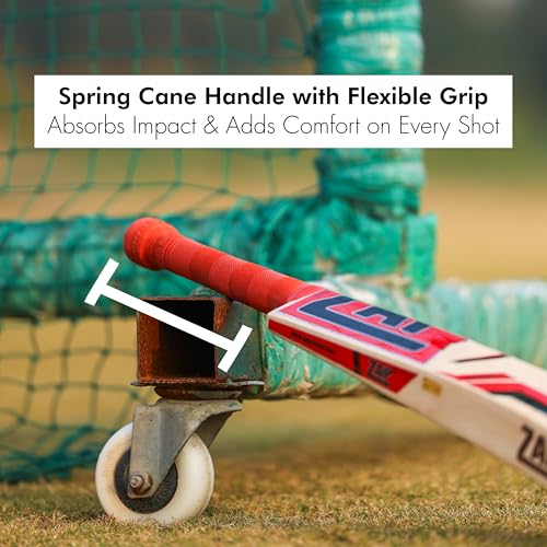 Image of ZAP Instinct Kashmir Willow Cricket Leather Bat(Size - H - 32.7Inches) | Professional Season Bat for Leather Ball | Singapore Cane Handle | Ring Grip | Shock-Absorbing Design | Free Cover