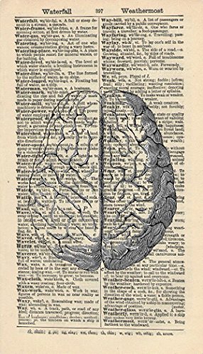 HUMAN BRAIN ART PRINT - ANATOMY ARTWORK - VINTAGE ART PRINT - ART - Illustration - GIFT - Vintage Dictionary Art Print - Wall Hanging - Home D&eacute;cor - Housewares - Book Print - 370Bf steampunk buy now online