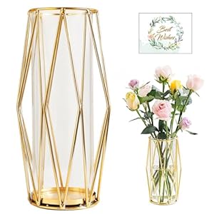 SAMISO Vase Décoratif Design avec Support Métallique Géométrique Or 27cm, en Verre pour Plantes Hydroponiques et Fleurs, Centre De Table pour Mariage à Domicile