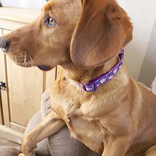 YUDOTE Floral Dog Collar Large with Printed Flower Pattern for Calm Girl Dogs Neck 40-66cm, Purple, Floral Purple, L (Pack of 1) - Image 4