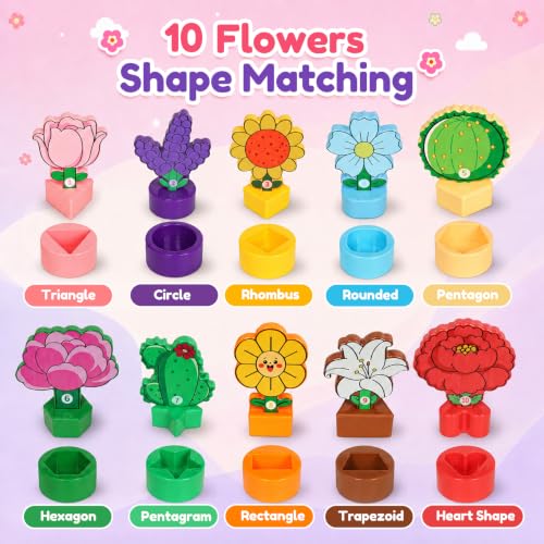 Image of Counting Color Sorting Sensory Sin Toys for Ages 3+ Boys Girls
