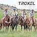 Troxel Dakota Trail Horse Riding Helmet, Low-Profile Light Adjustable Design, Safety Horseback Riding Gear, Extra Large (7-3/8 - 7-3/4), Grizzly Brown