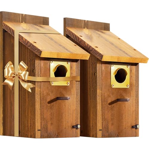 2pk Large Bluebird House for Outdoor - Extra High Size, with Perch, Mesh Base & Brass Guard - Cedar Birdhouse for Bluebirds, Finches, Swallows Carbonized Finished 5 Years Usage, Assembling Needed