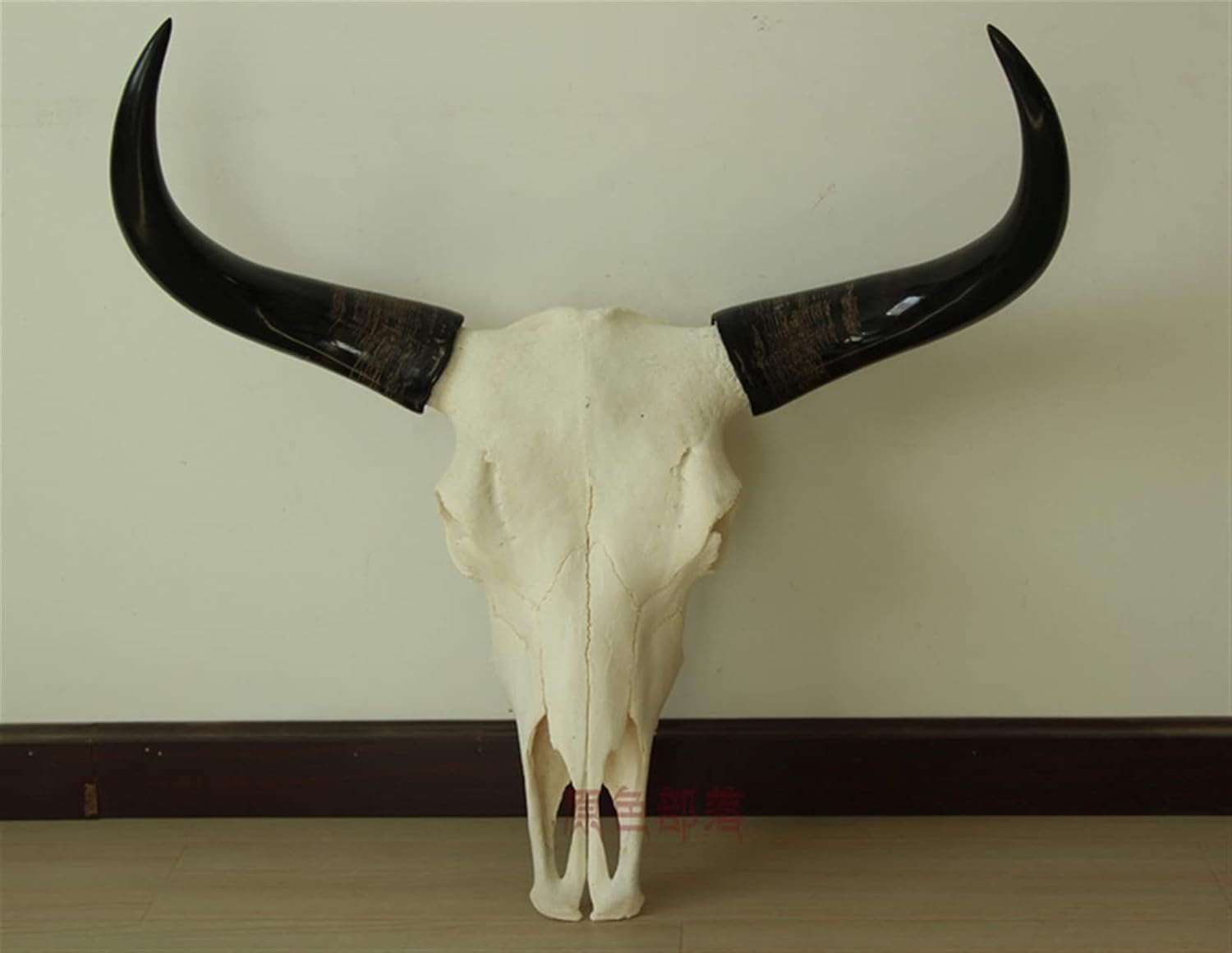 試験的出品　本物 バッファロースカルヘッド　牛頭骨　インテリア 試験的出品 本物 バッファロースカルヘッド 牛頭骨 インテリア Amazon