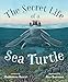 The Secret Life of a Sea Turtle
