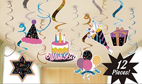 Wanna Party Wanna Oarty Colorful Fun Birthday Swirl Decoration - 12Pc