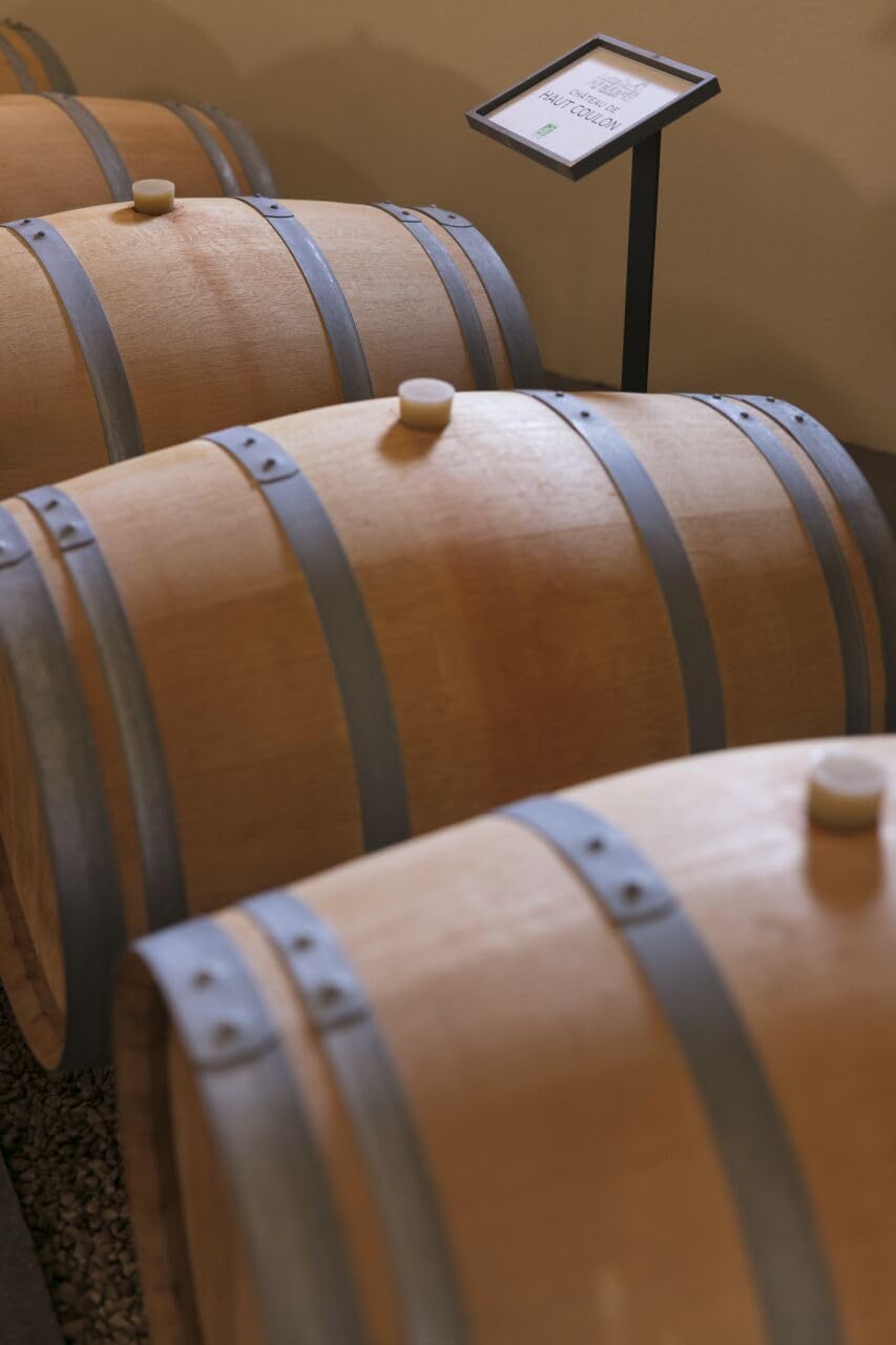 Château de Haut-Coulon - AOP Cadillac Côtes de Bordeaux - Vin Rouge - Terra Vitis - Lot de 6 bouteilles x 75cl