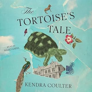 The Tortoise's Tale cover art