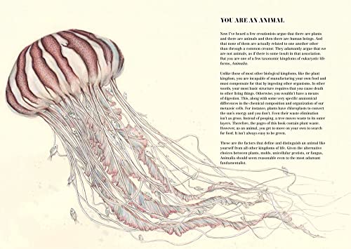 We Are All Apes - Image 3