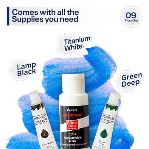 DIY Monstera Painting Kit for Adults with Video Tutorials – 9 Piece Acrylic Set