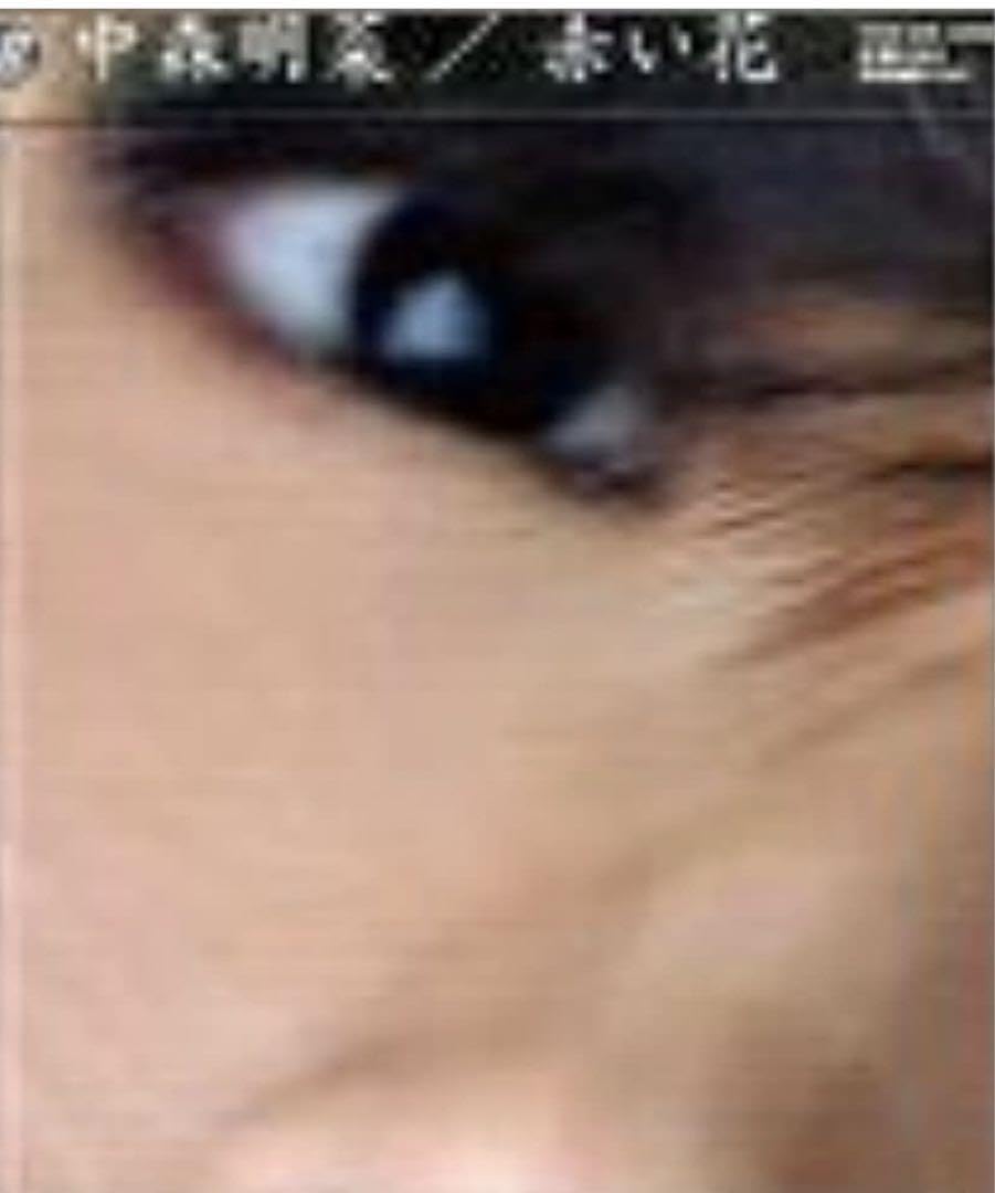 Amazon.co.jp: 赤い花 中森明菜 CD : パソコン・周辺機器