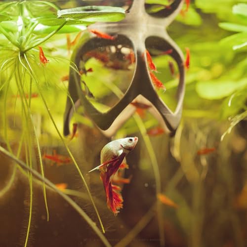 Image of Betta Play Ground | Floating Hammock and Hiding Cave for Betta, Fish, Shrimp with Feeding Station - Swim-Through Aquarium Ornament and Tank Decoration (Bronze, Mini)