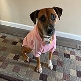 Eastlion Hunde Warm Hoodies Mantel Kleidung Pullover Haustier Welpen T-Shirt Dog Coat Grau 3XL
