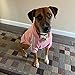 Eastlion Hunde Warm Hoodies Mantel Kleidung Pullover Haustier Welpen T-Shirt Dog Coat Grau 3XL