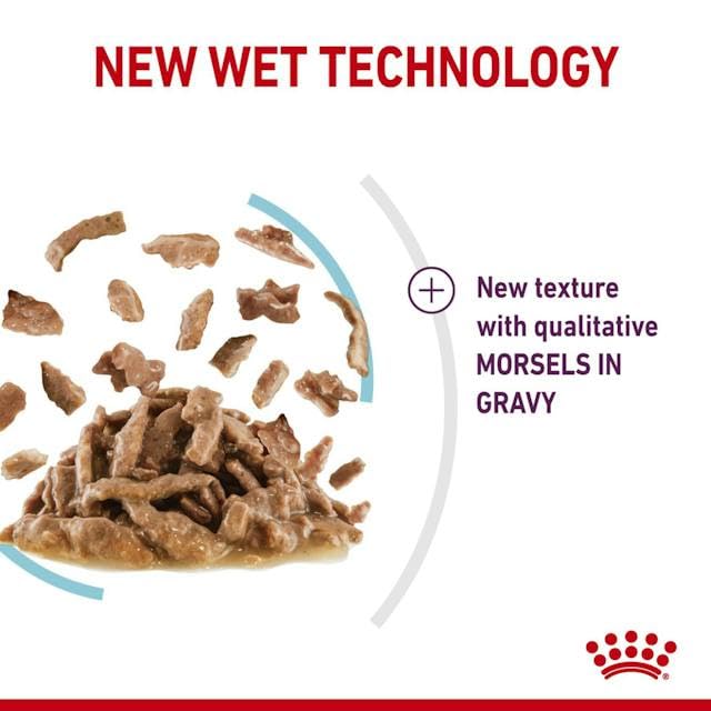 Royal Canin Sensory Feel Nassfutter in Soße für wählerische Katzen | 4er Pack | 4 x 12 x 85 g | Die besondere Textur kann dabei helfen das Mundgefühl von Katzen anzuregen