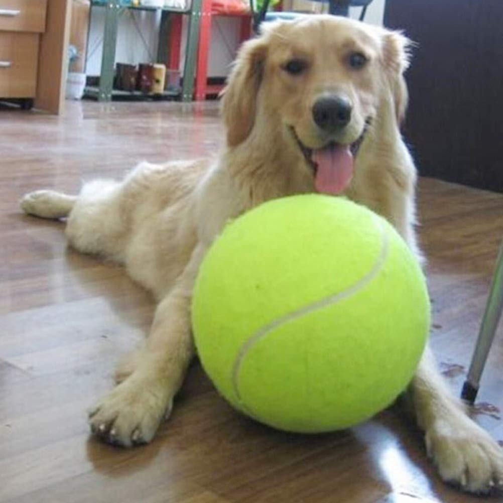 Bireegoo Tennis Ball, 24cm Giant Chew Toy for Dog Inflatable Pet Toy Ball for Pet Training Exercise & Fun, Green/Yellow - Image 3