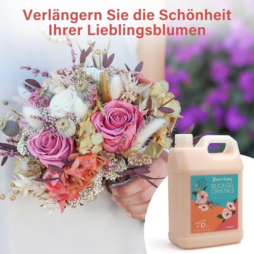 LotFancy Silica Gel zum Blumen Trocknen 6 LBS (2,72KG), Silicagel mit Indikator, Wiederwendbares Trockenmittel, Feine Kristalle  1 mm für Blumen