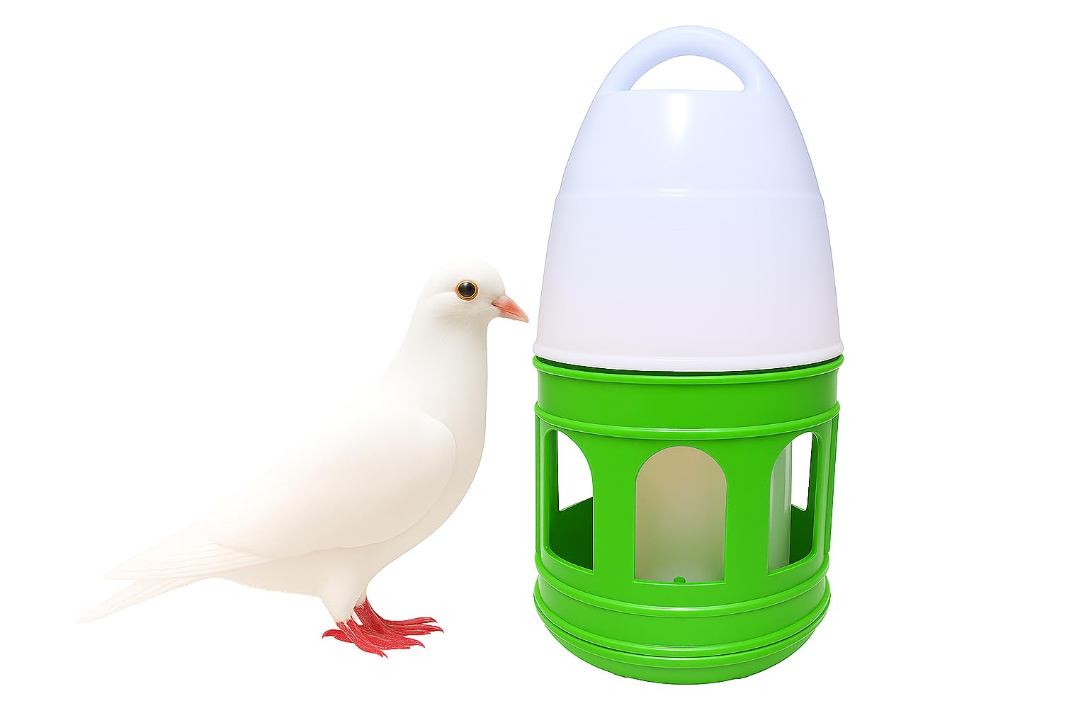 G P S™ Imported Pigeon Water Drinker - 3 Litre : Green Color-image-23