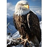 Photo Gallery feelive 5d aquila pittura diamante per adulti, diy diamond painting kit completo per bambini, ricamo a punto croce artigianale per decorazione della parete casa 30x40cm Photo Gallery feelive 5d aquila pittura diamante per adulti, diy diamond painting kit completo per bambini, ricamo a punto croce artigianale per decorazione della parete casa 30x40cm