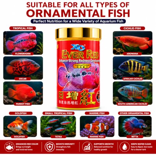 Image of VAYINATO All Life Stages Pellet Ocean Free Xo Ever Red (Original) Fish Food, 280Ml /100G|Enhance Strong Redness Development For Flowerhorn Fish