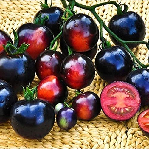 Austinstore 200 Stks Organische Zeldzame Tomatenzaden Heerlijk Fruit Groente Thuis Tuin Decor Zaad Behoefte Gek Mengsel… - Afbeelding 6