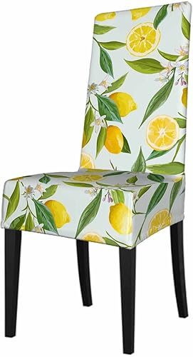 Numland Funda para silla de comedor de frutas de limón en acuarela, follaje de plantas exóticas, extraíble, lavable para decoración del hogar,