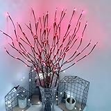 Construction durable : fabriqué à partir de matériaux résistants avec 20 ampoules LED, offrant un flux lumineux total de 1000 lm à une température de couleur de 100 K. L'indice de protection IP42 convient à divers environnements intérieurs, répondant à divers besoins décoratifs.