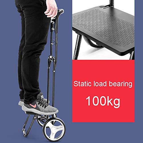 MISJIA Einkaufstrolley mit 2 Räder, Einkaufstrolley XXL mit großen Rädern in - extra großer Einkaufsroller Einkaufshilfe… – Bild 8