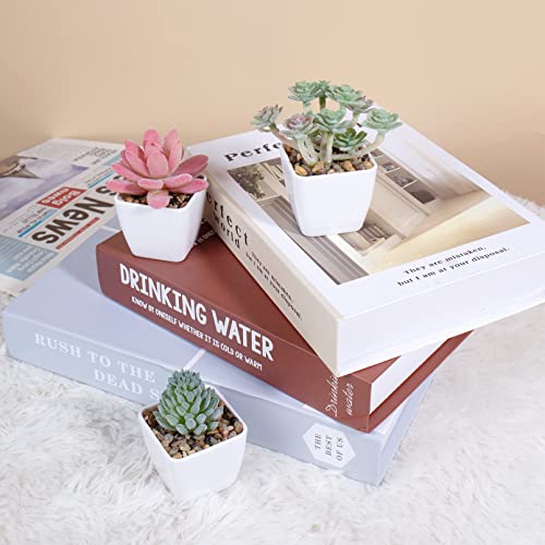 Hywean Homd 6 Pezzi Piccole Piante Finte in Vaso