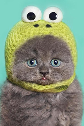 Funny Gray Kitten in Green Frog Hat Photo Baby Animal Portrait Photo Cat Poster Cute Wall Posters Kitten Posters for Wall Baby Poster Inspirational Cat Poster Cool Wall Decor Art Print Poster 24x36