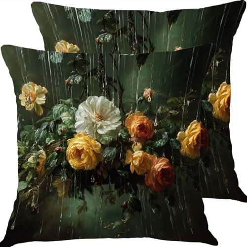 �N�b�V�����J�o�[ 55x55cm �h���N�b�V�����J�o�[ �A�E�g�h�A�\�t�@�[�N�b�V���� 2�_�Z�b�g �K�[�f���V�[�g�������J�o�[ ���l������ �����s���[�J�o�[, �l�G�ʗp �щB���t�@�X�i�[�� ���ʃp�^�[���N�b�V���� �K���� ���蕨�ɂ��� �Ԃ̂����� X8JJ-