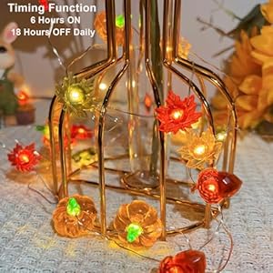 Thanksgivingdecorationacorn3dpumpkinmapleleafstringlightsbatteryoperated10ft30ledsfalllightswithremoteharvesthalloweenpartylightsforhomeautumngarlandchristmasdecor Urban Country Home Decor Thanksgiving decoration acorn 3d pumpkin maple leaf string lights battery operated 10ft 30 leds fall lights with remote harvest halloween party lights for home autumn garland christmas decor urban country home decor