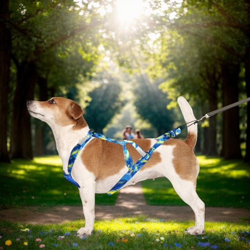 Hundegeschirr für Schlitten, Mehrzweck-Hundegeschirr, Welpengeschirr, Outdoor-Hundeseil, flexibles Hundetrainingsseil für Rodeln, Spaziergänge im Freien