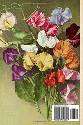 Composition Notebook: Nice Sweet Peas 6 x 9 150 pages Lined Notebook for school university, teacher, student - Image 2