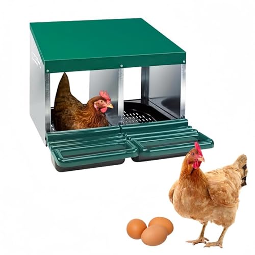 �{�̑����{�̗��Y���{�b�N�X���K�ȍL�X�Ƃ����|�����ȒP�Ȍ{�A�q���Ƌחp (3�̌�) (2�̌�)