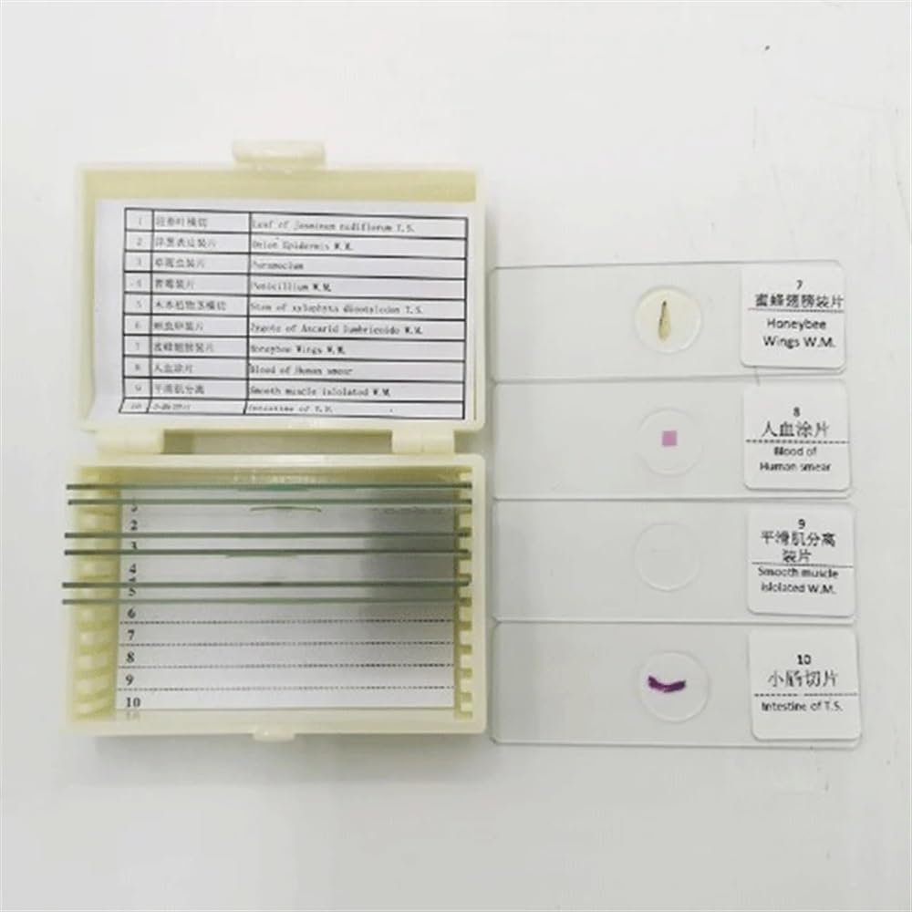 Accessori per microscopi Vetrini for microscopio Vetrini for microscopio biologico Vetrini for campioni in vetro Vetrini for microscopio preparati for la formazione degli studenti Durata e prestazioni
