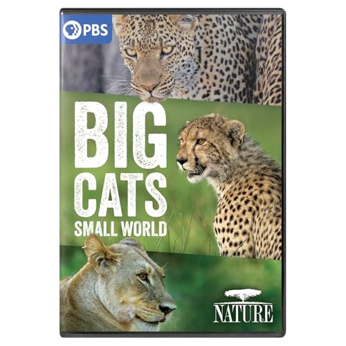 NATURE: Big Cats, Small World image 2