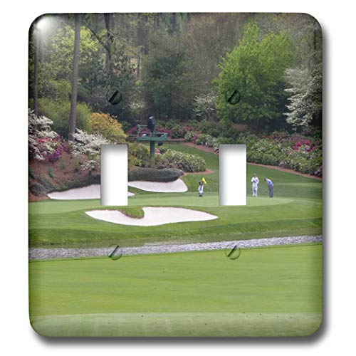 Interrupteur à bascule double Augusta 3dRose remplace plaque blanche salon golf - 2