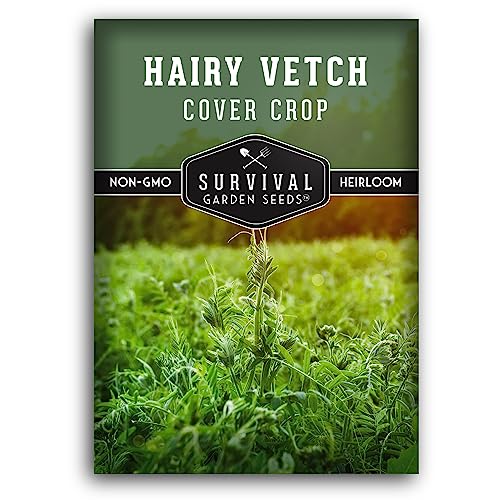 Hairy Vetch Seeds for Planting - 1 Packet with Instructions to Plant & Grow Beneficial Cover Crop & Forage in Your Home Garden - Non-GMO Heirloom Variety - Survival Garden Seeds
