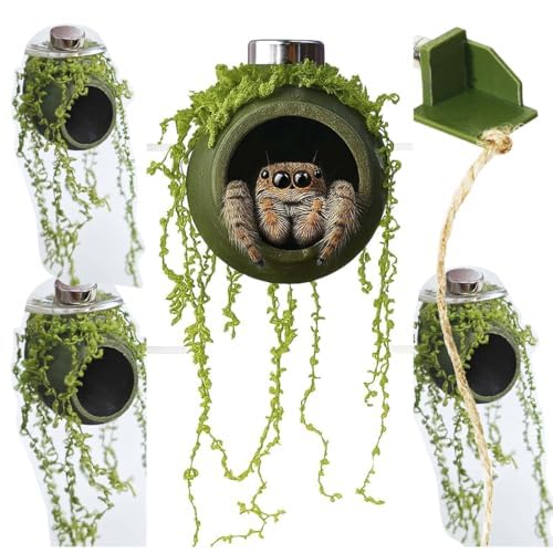 4Pcs Jumping Spider Enclosure Accessories Cocoon-Shaped Jumping Spider Hideaway with Artificial Moss and 1 Pcs Resting Platform Magnetic Small Animal Shelter Toy，Army Green